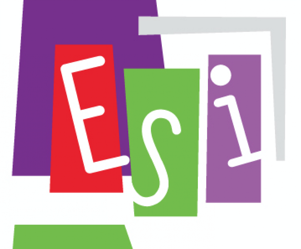 Curso: pantallazo ESI