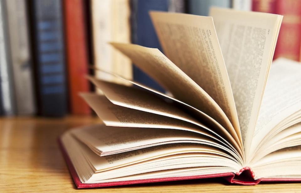 Viaje a la feria del libro