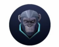 Monkeys Moda