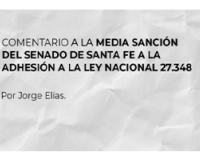 Comentario a la media Sanción del Senado 