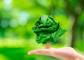 Educación Ambiental: de la palabra a los hechos