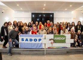 Elecciones en Amdop